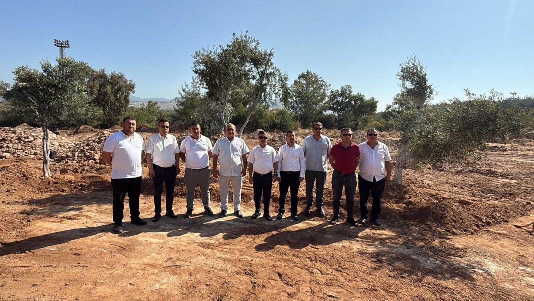 Zeytin ağacı taşıma çalışması