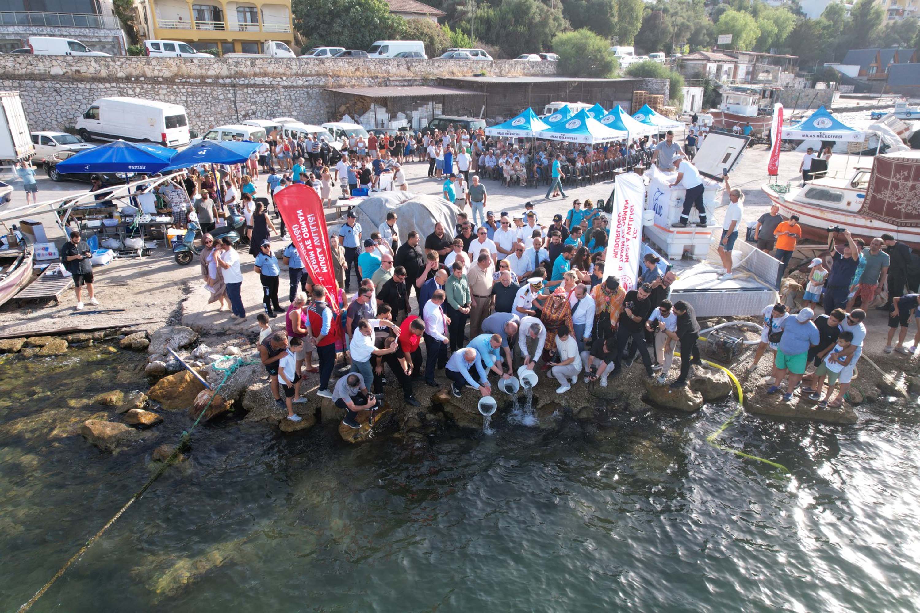 Muğla Deniz Dibi Temizliği
