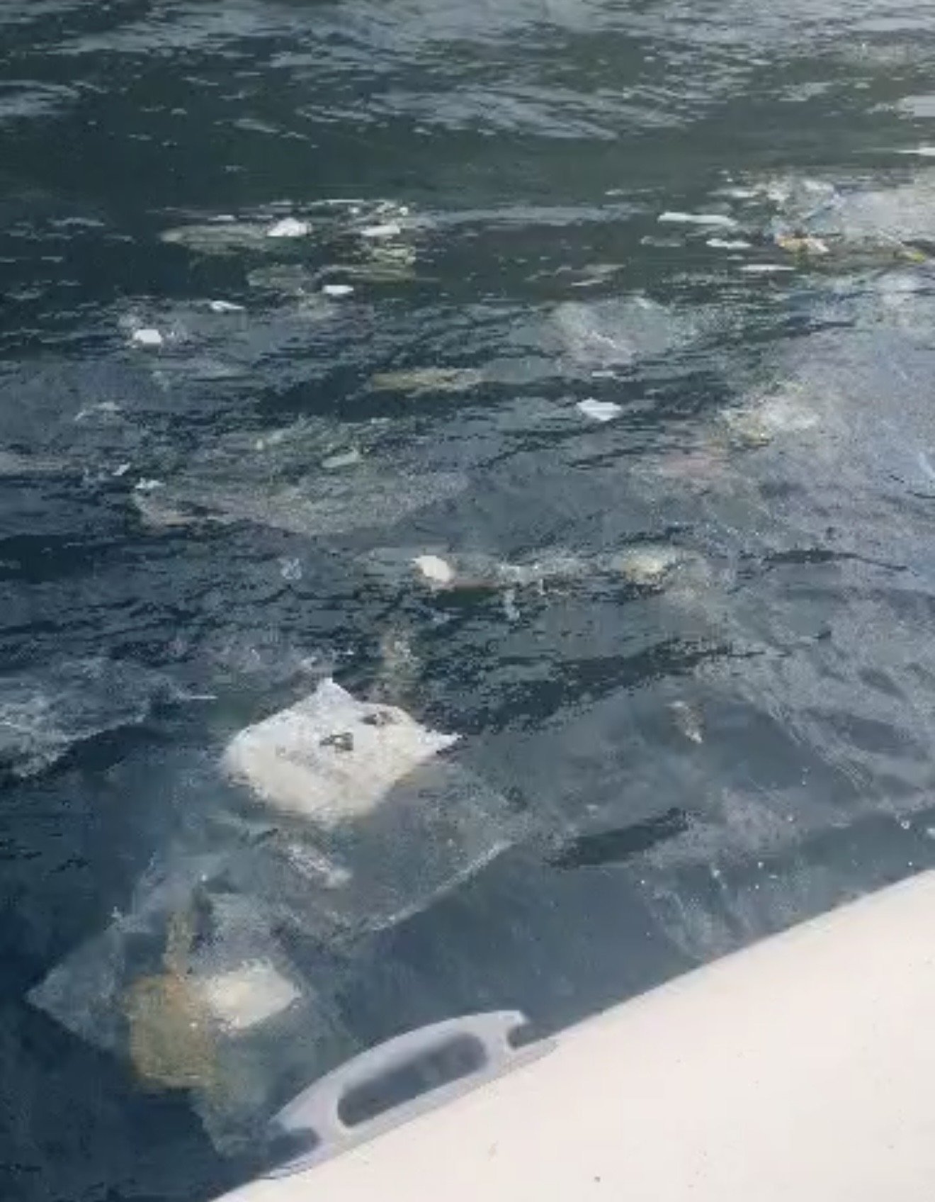 Amasra kirlilik incelemesi