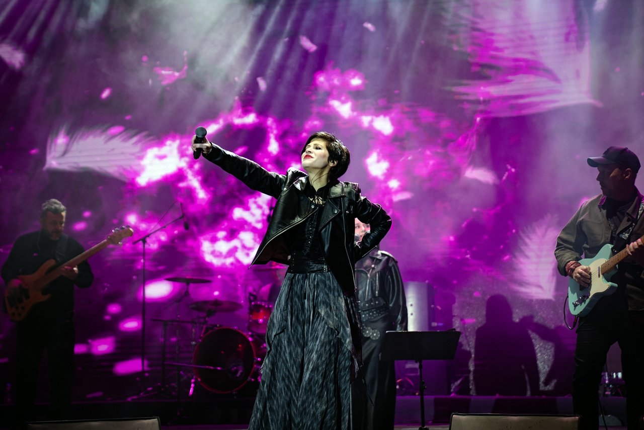 Bingöl Konser Kalabalığı