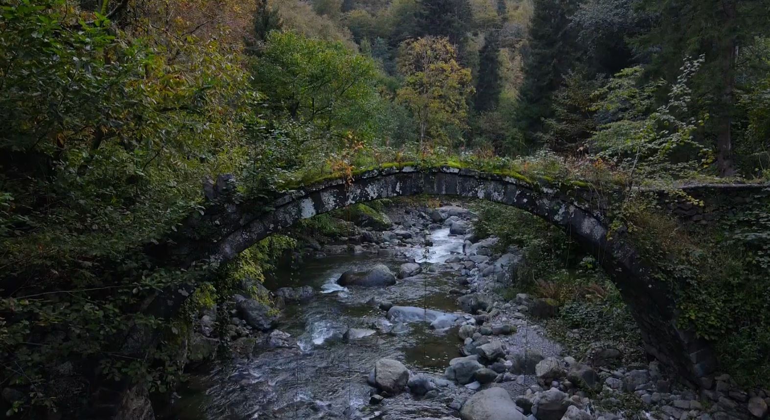 Sel felaketi sonrası Borçka