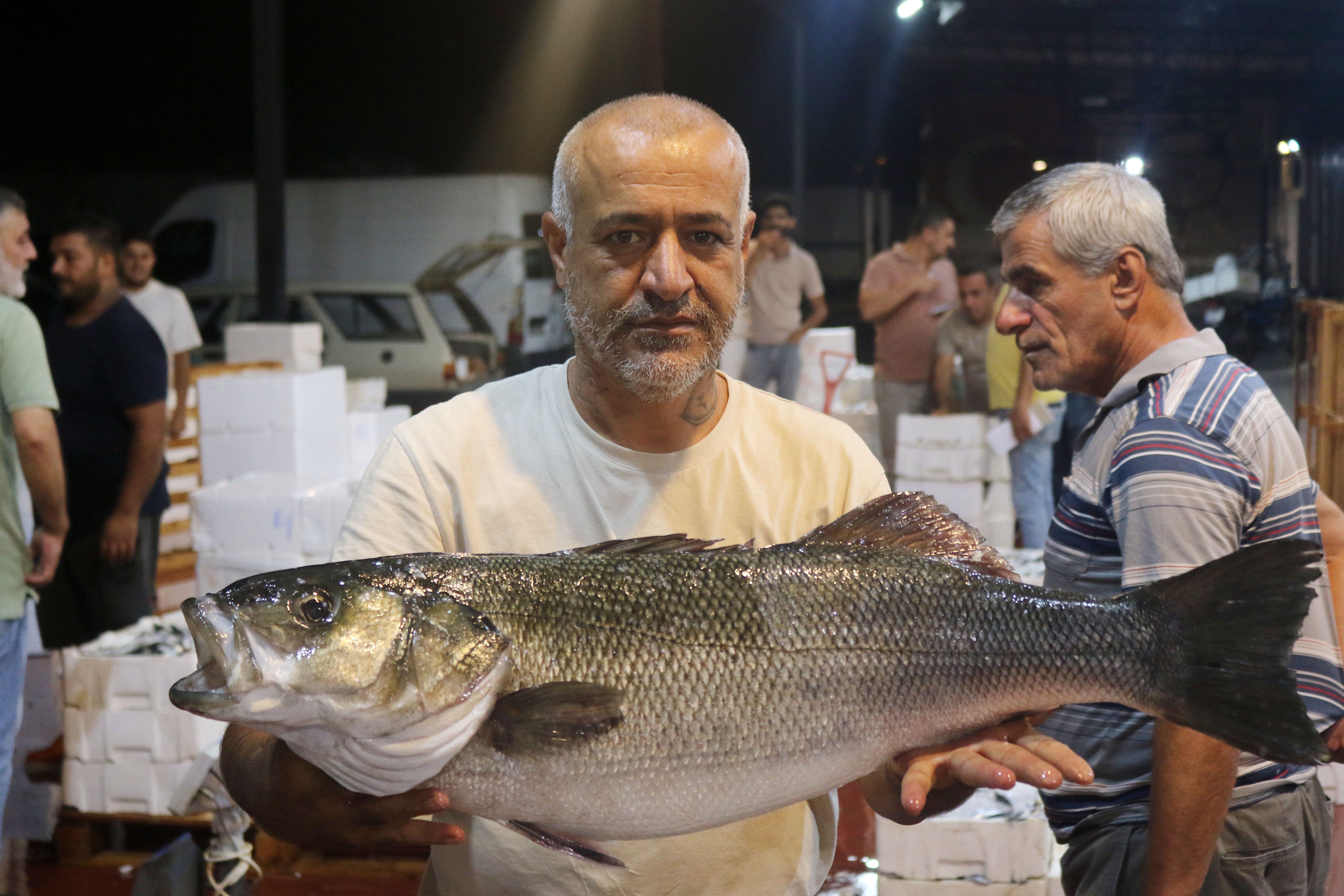 Balık Fiyatları