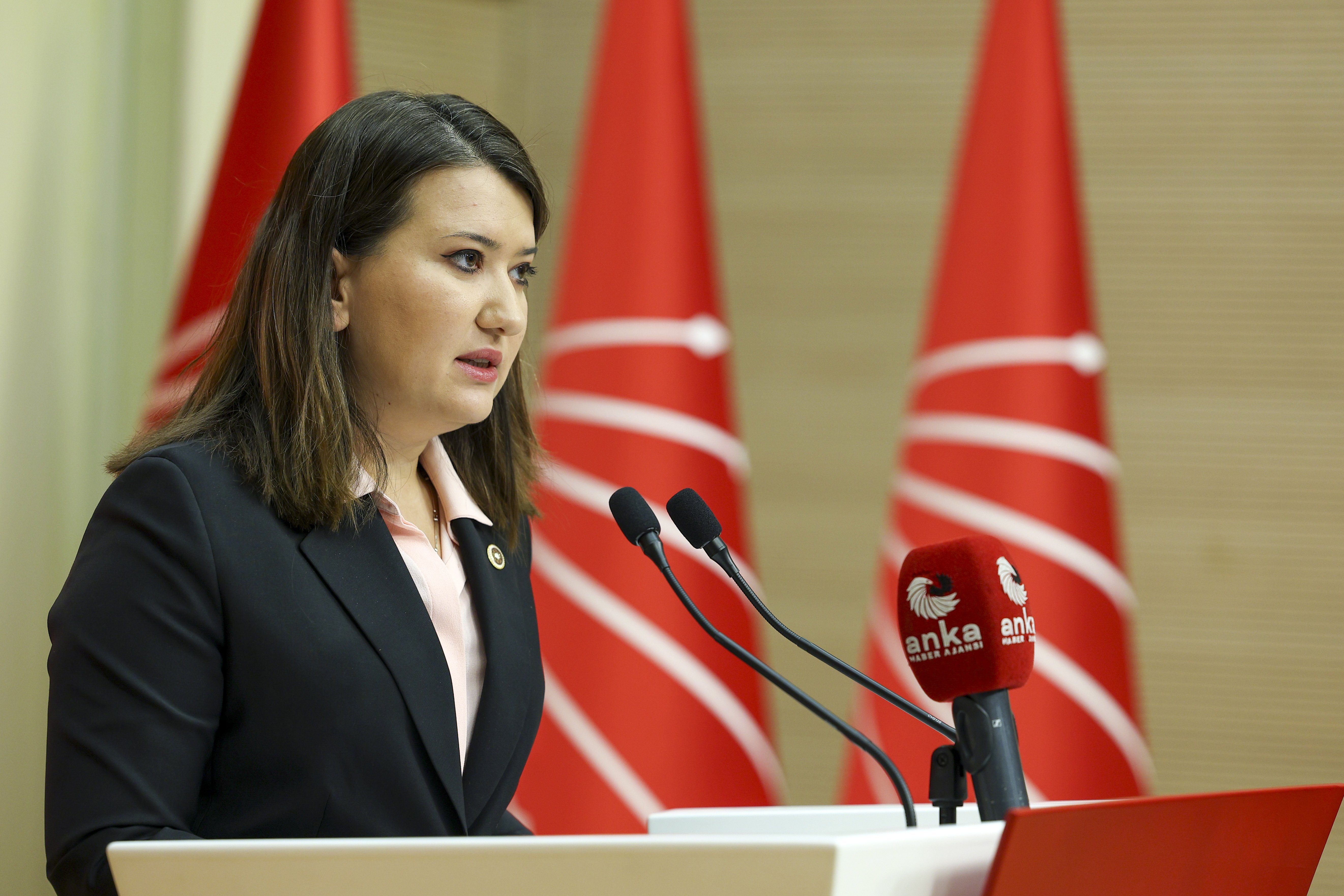 CHP İstanbul İl Başkanlığı