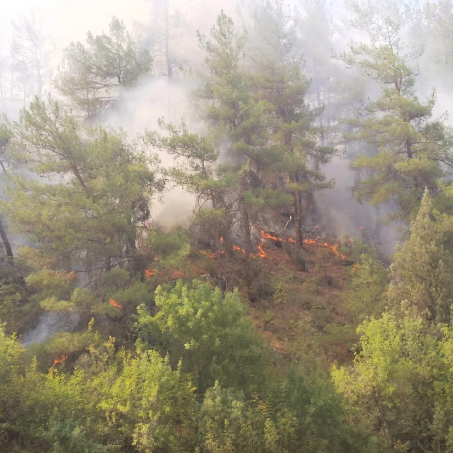 Kastamonu yangın müdahalesi