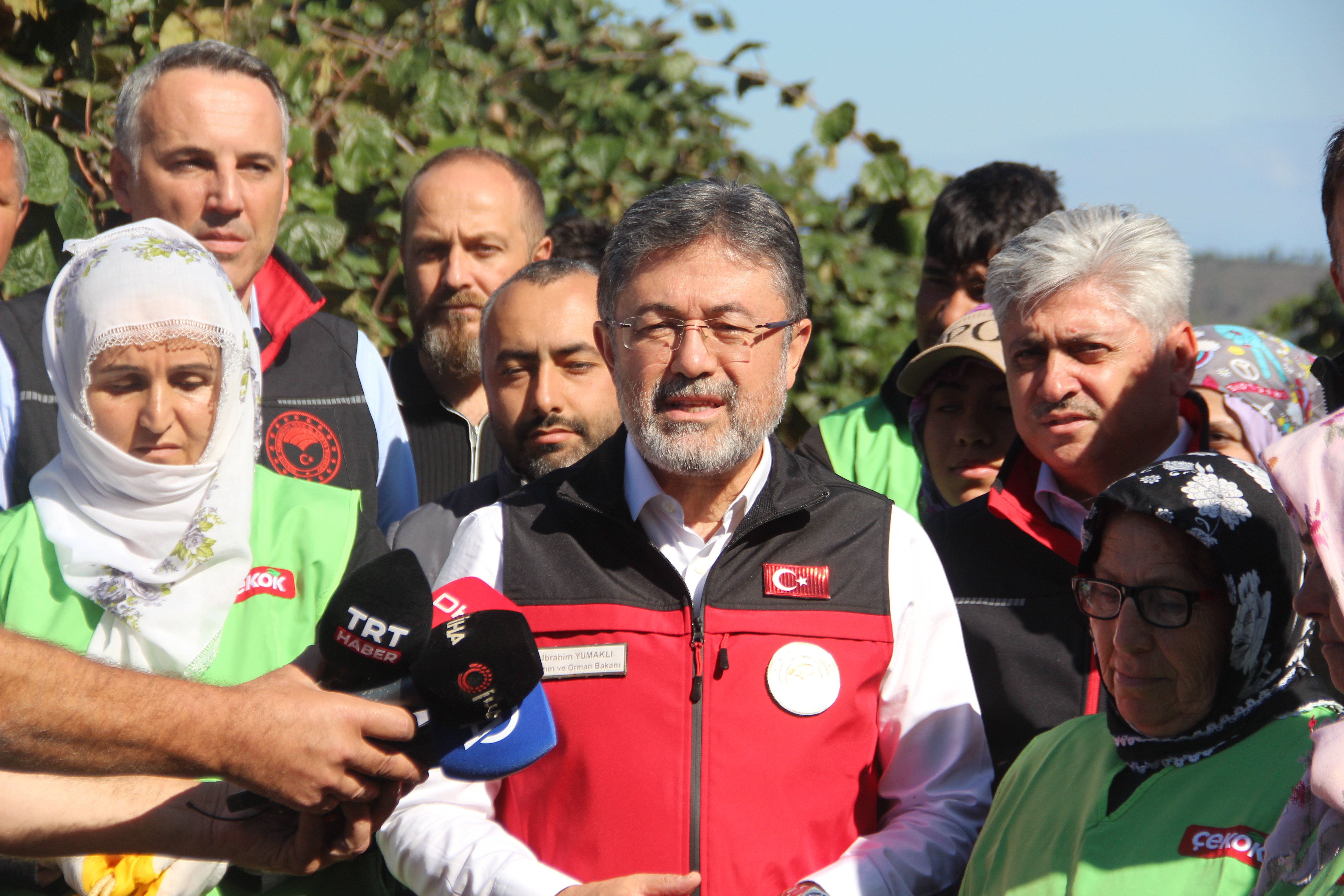 Tarım ve Orman Bakanı İbrahim Yumaklı kivi hasadı