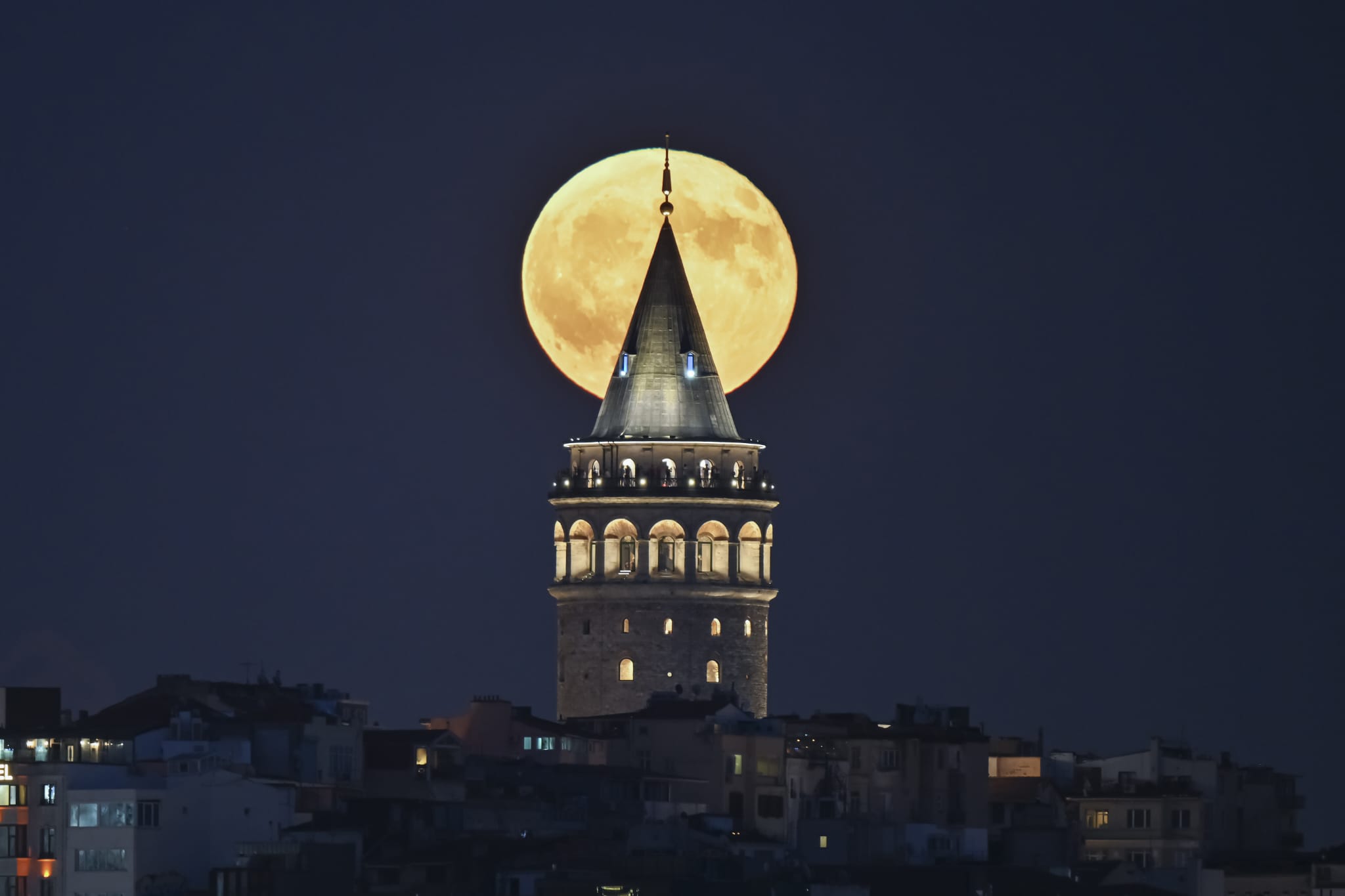 Müze Ziyaretçileri