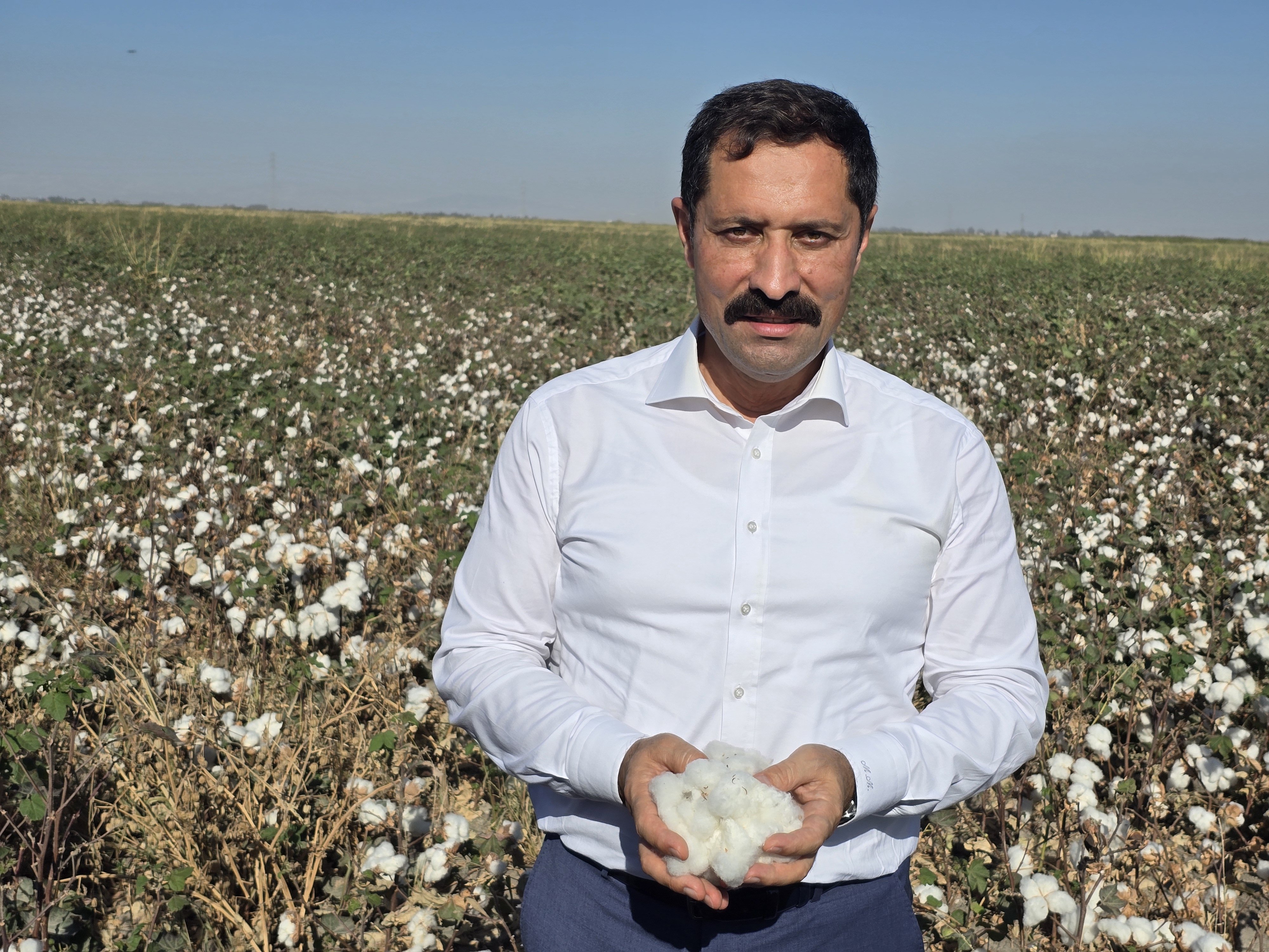 Hatay Valisi Mustafa Masatlı pamuk hasadı