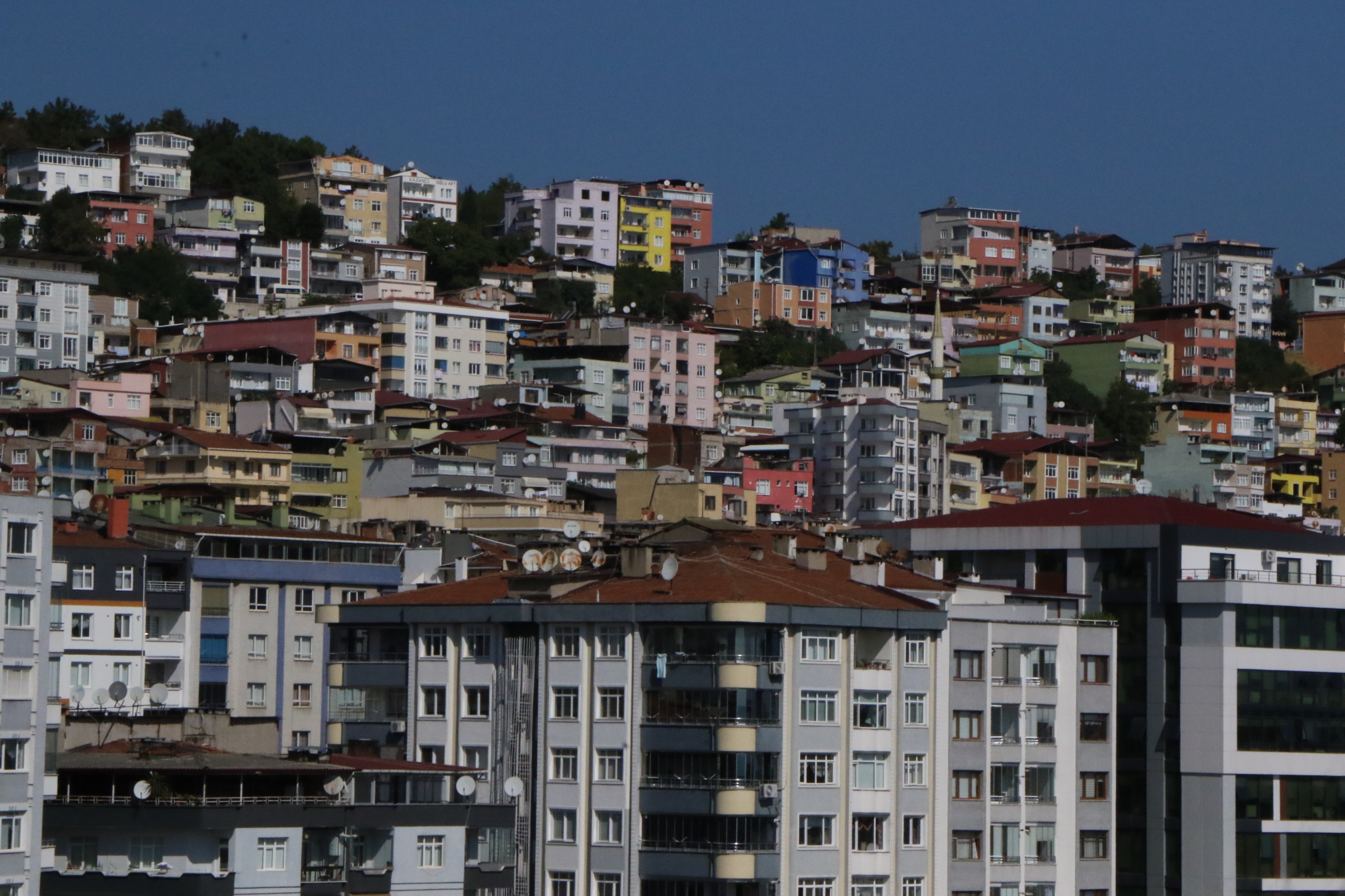 Vali Orhan Tavlı