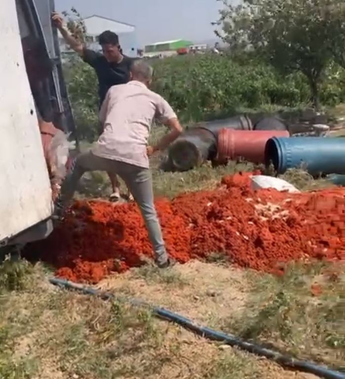 Hatay salça denetimi