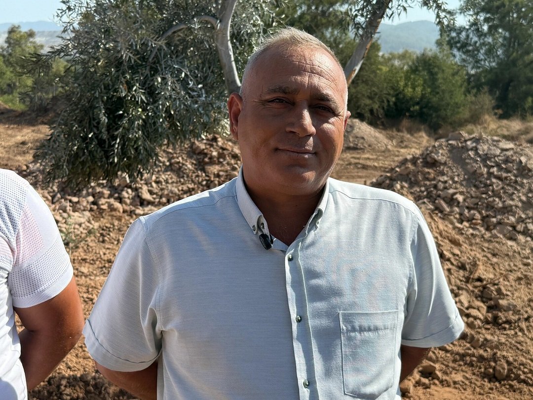 Zeytin ağacı taşıma süreci