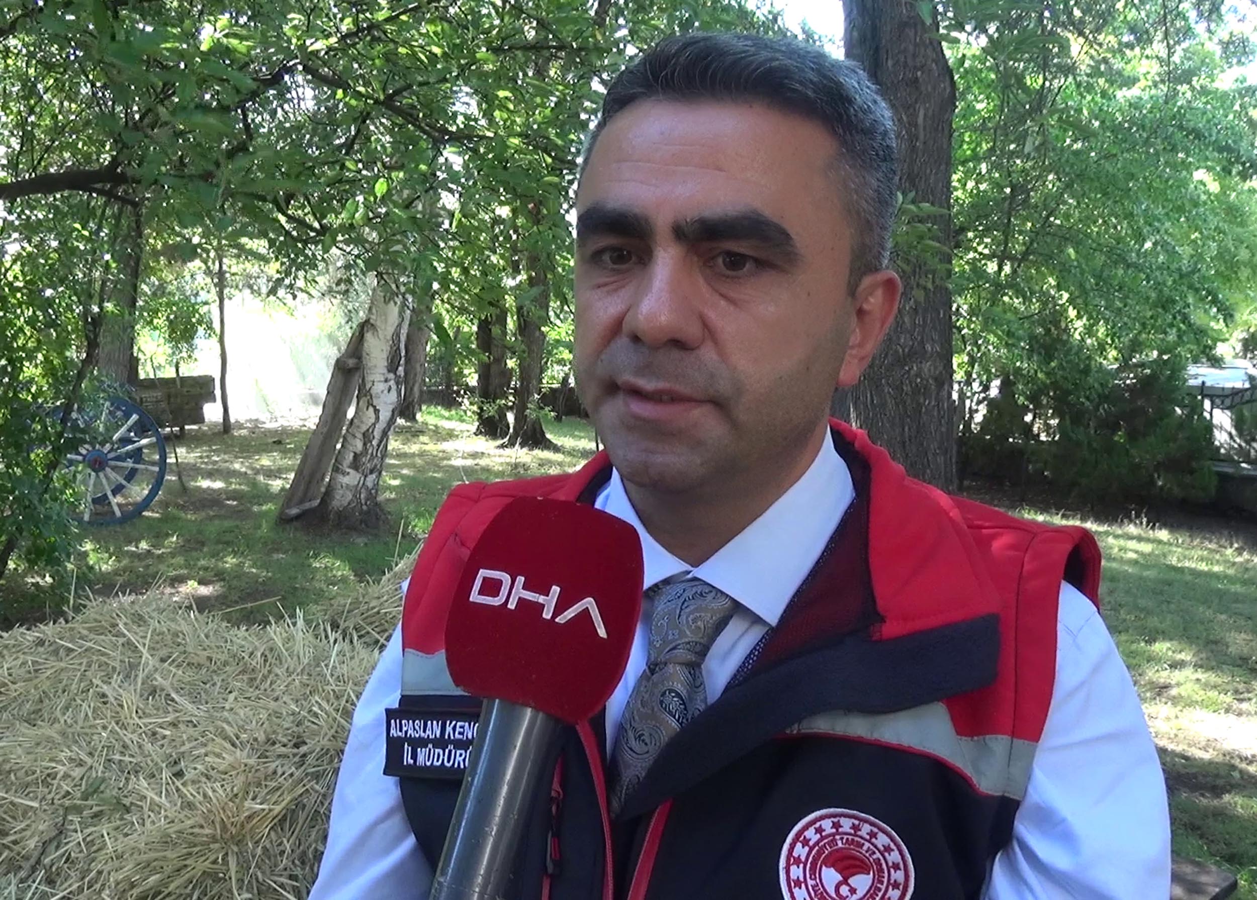 Hayvan sağlığı çalışmaları