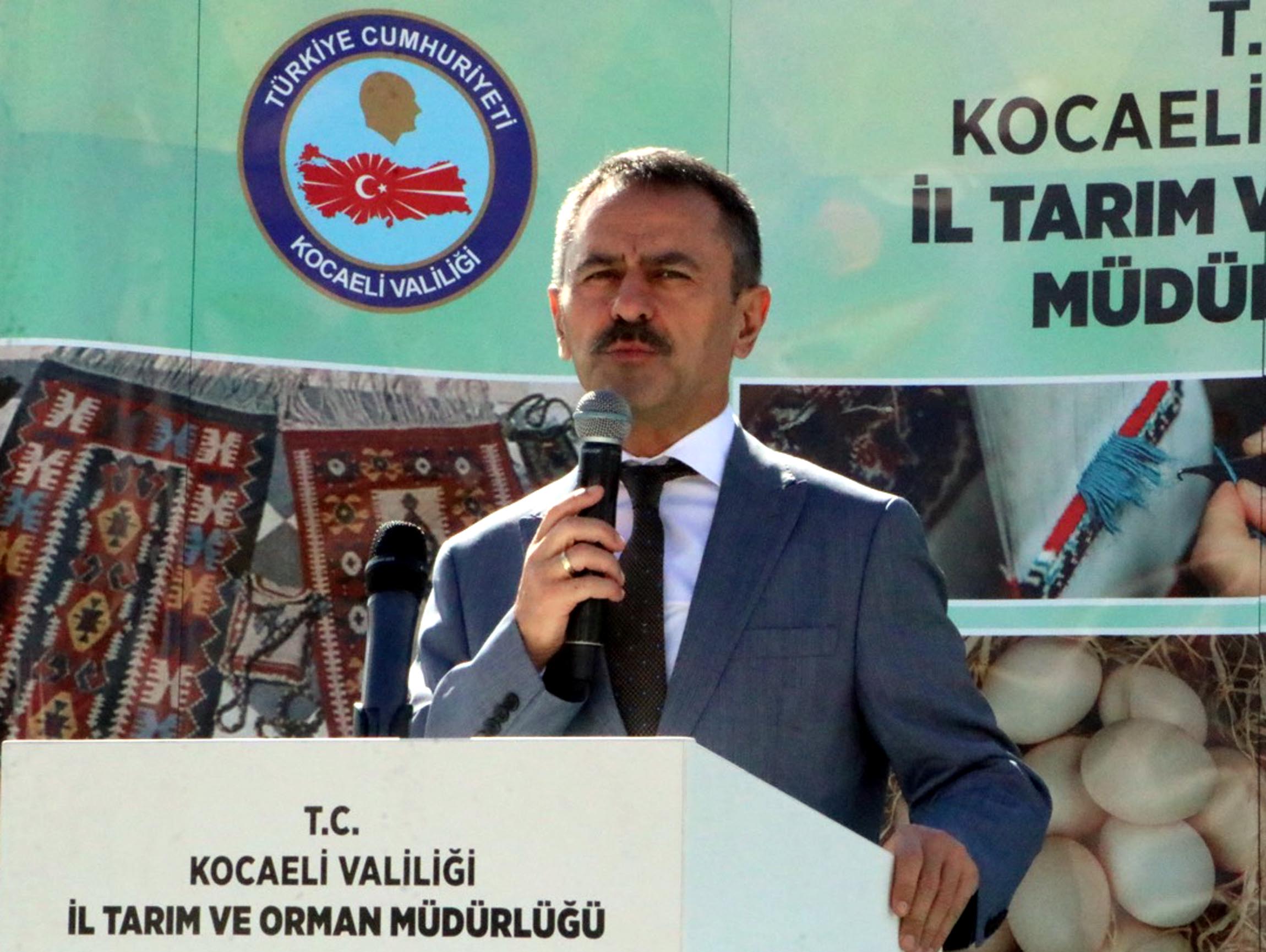 Biçerdöverle Hasat