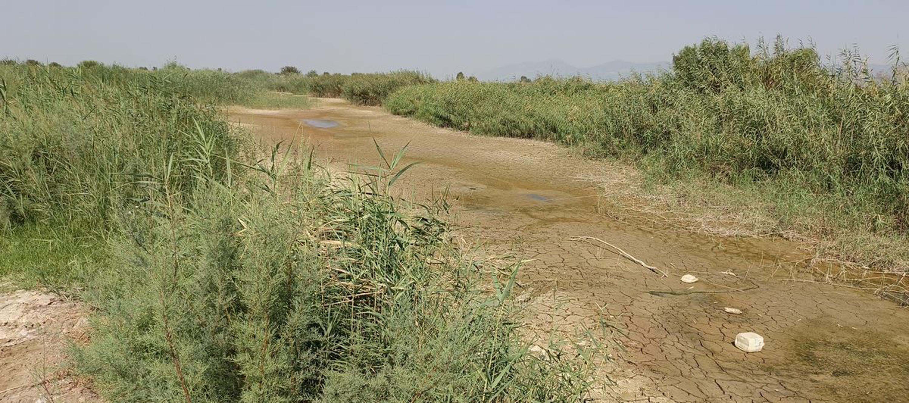 Büyük Menderes Nehri
