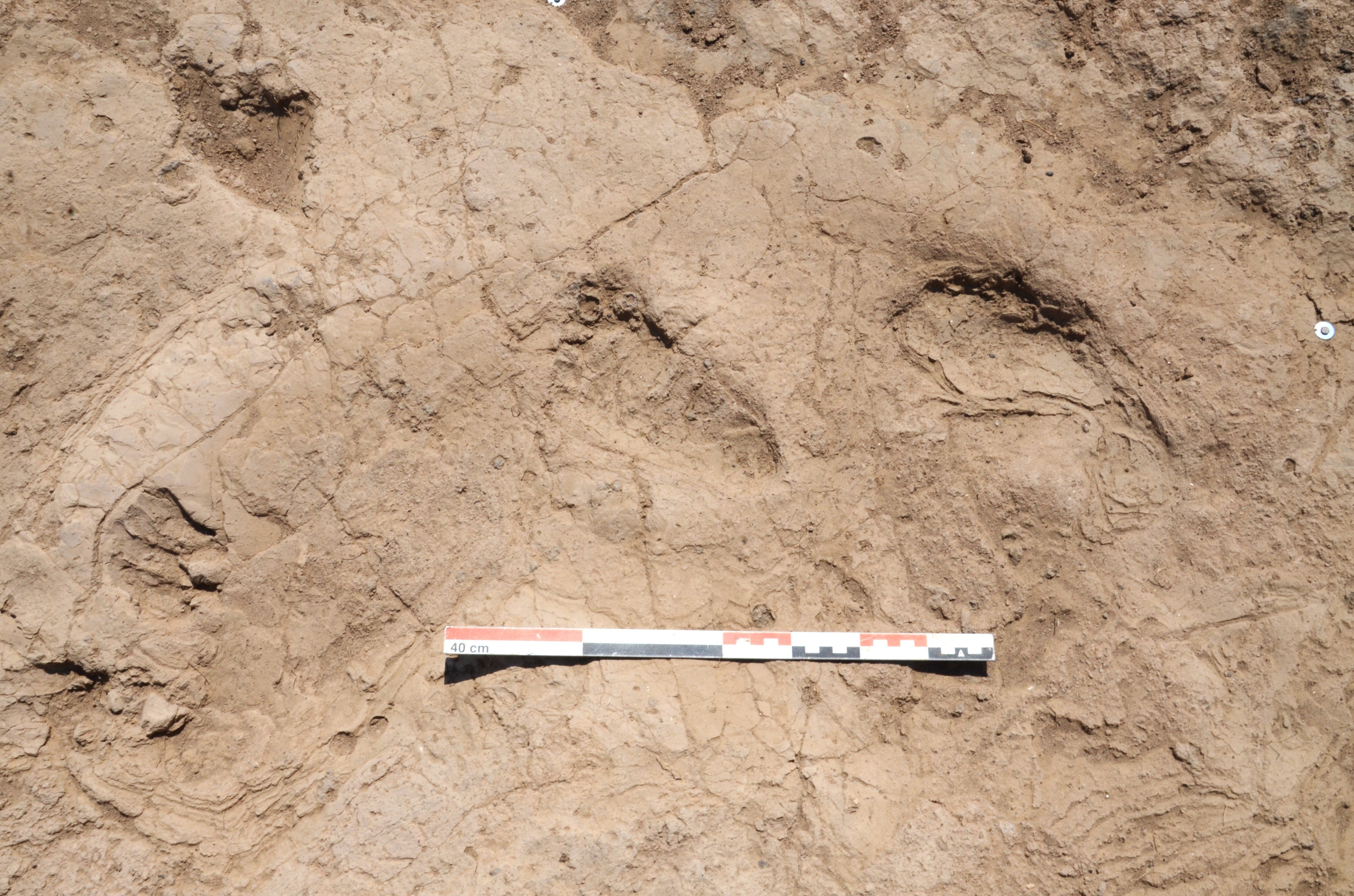 Tell Kurdu Höyük Genel Görünüm