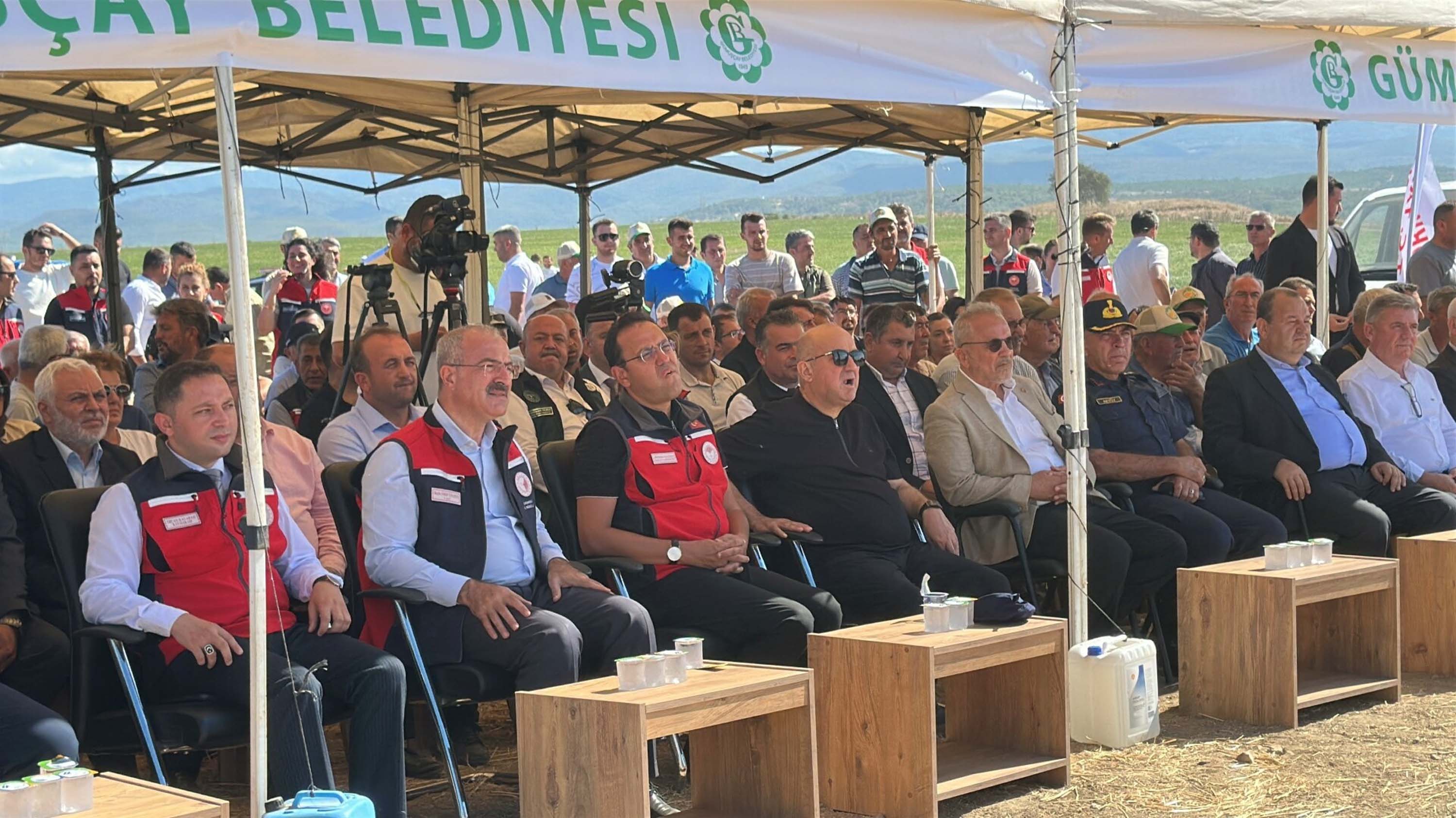 Çeltik hasat etkinliği protokol