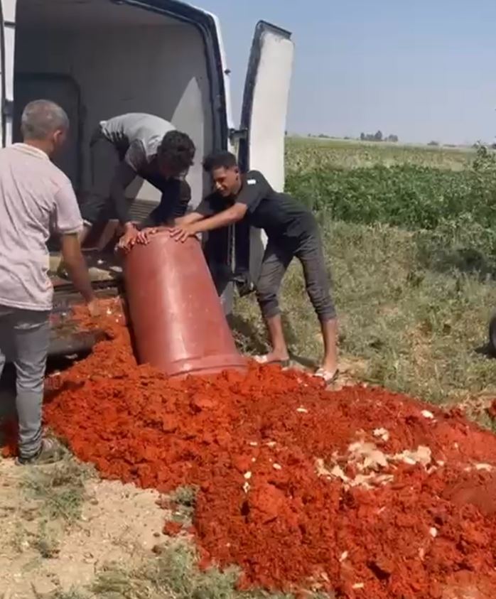 Domates posası imhası