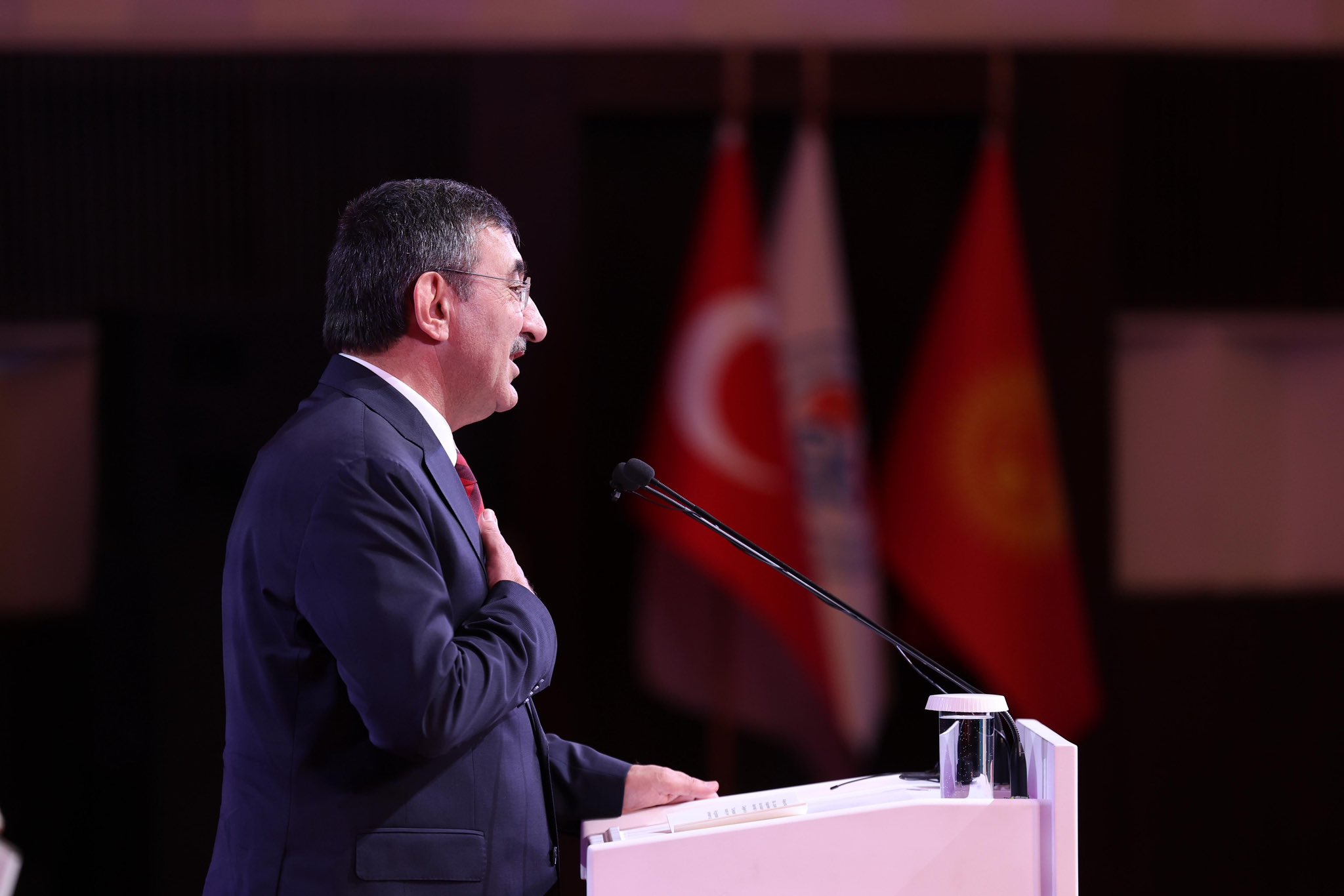 Manas Üniversitesi 30. Yıl