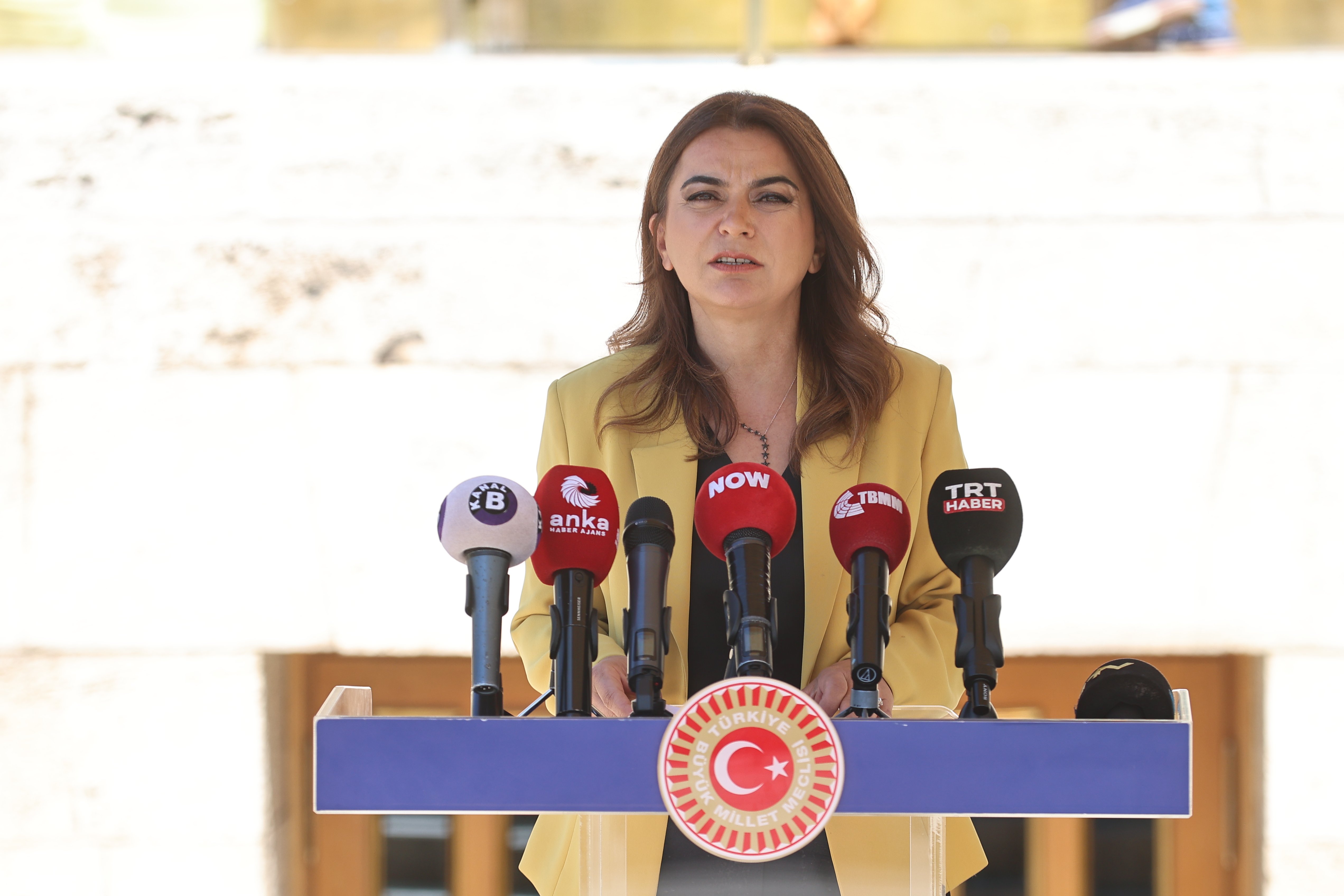 Gülistan Kılıç Koçyiğit TBMM Basın Toplantısı