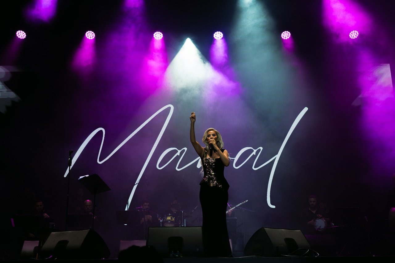 Bingöl Konser Kalabalığı