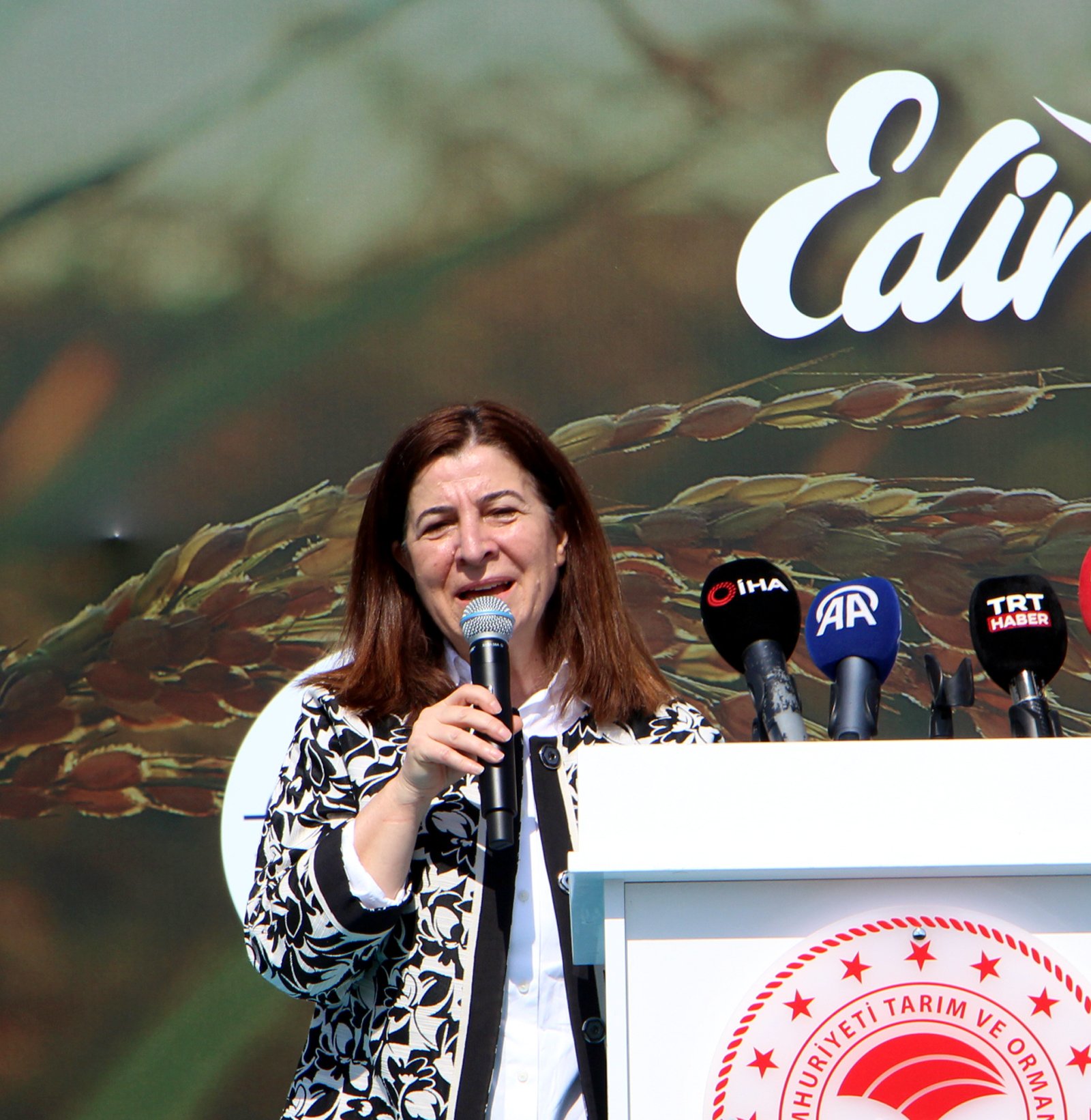 Bakan Yumaklı Hasat Etkinliği