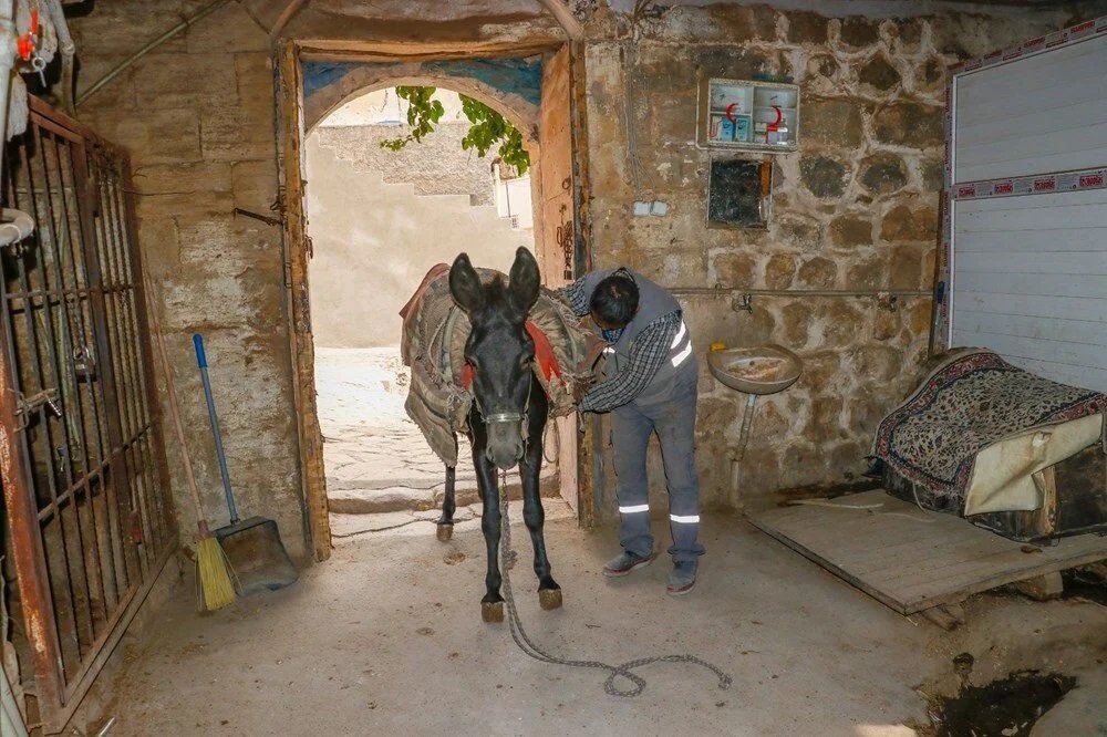 Mardin eşek çöp toplama