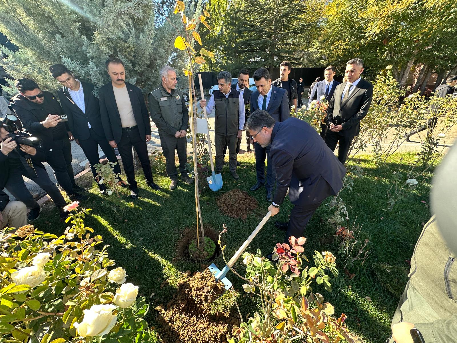 Arıcılık sektörü gelişimi