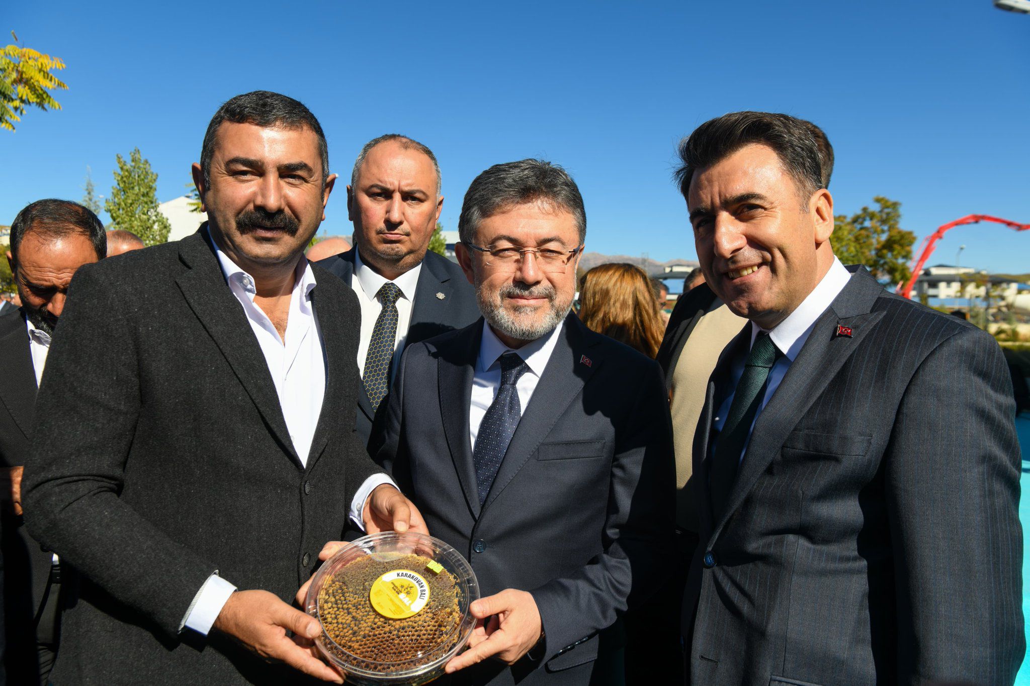 Modern arı kovanları