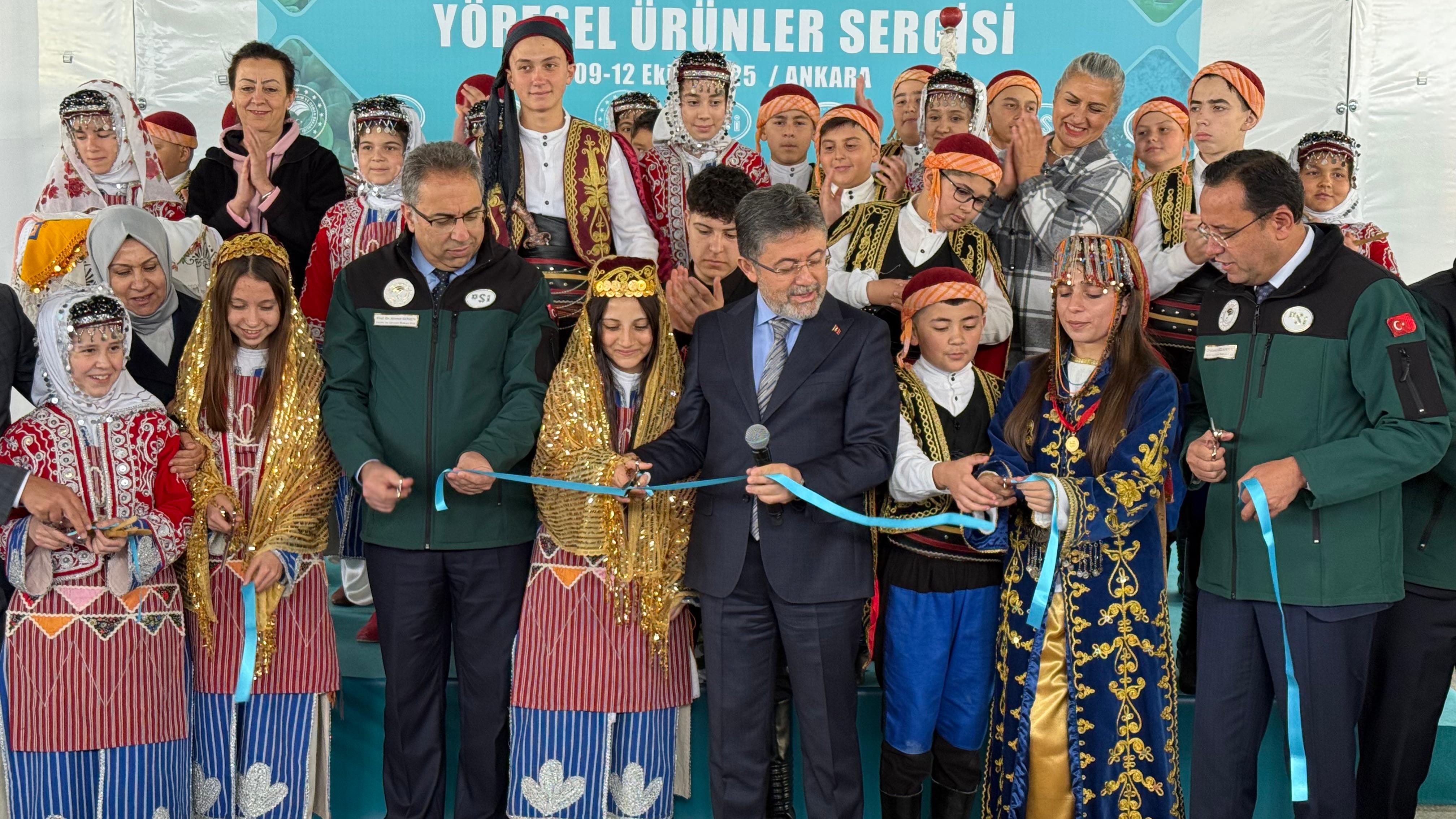 Orman Çalışmaları