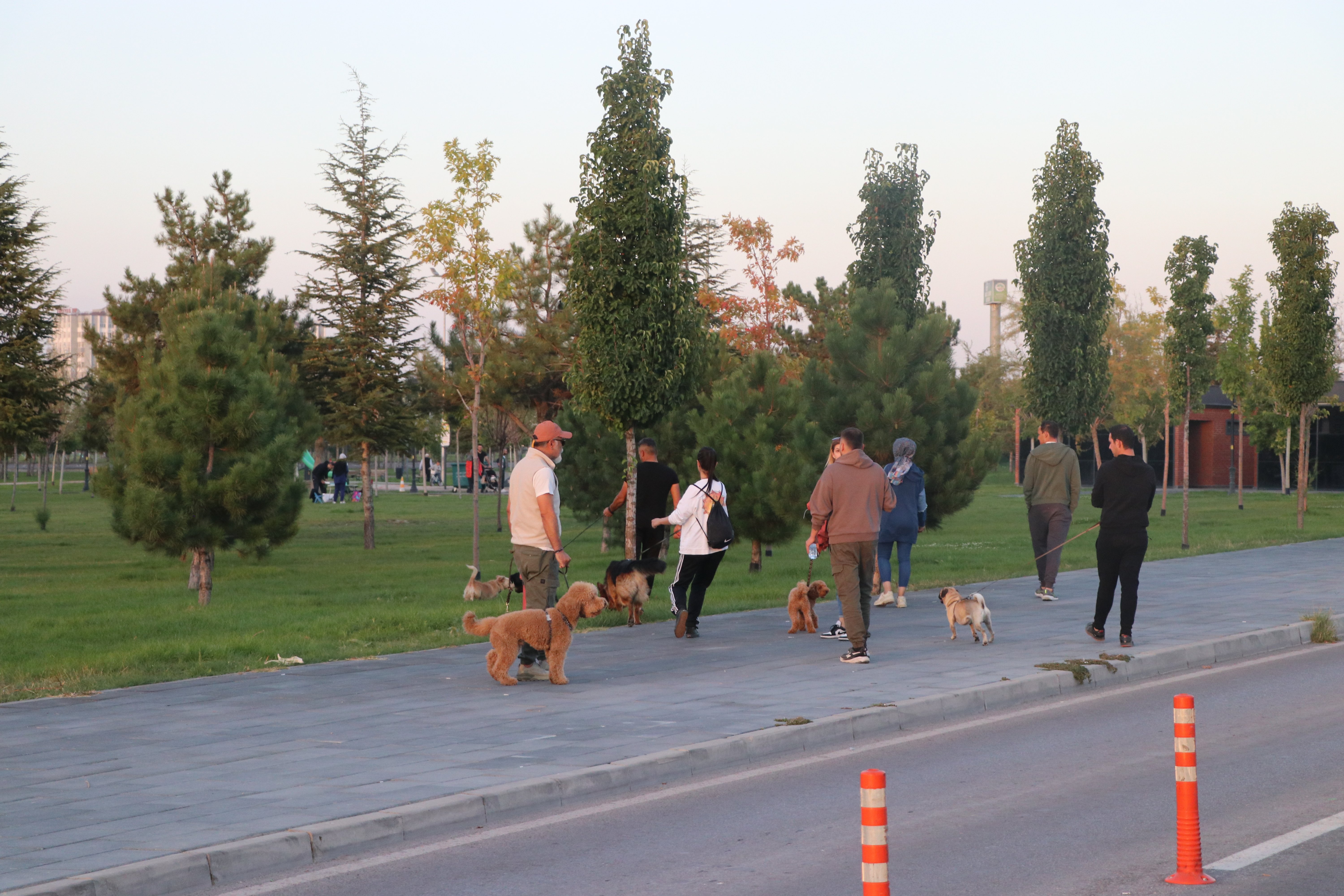 Köpek Eğitim Parkuru