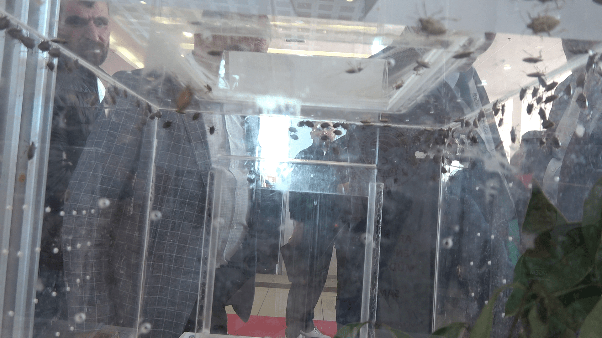 Tarım ve Orman Bakanlığı Biyolojik Mücadele