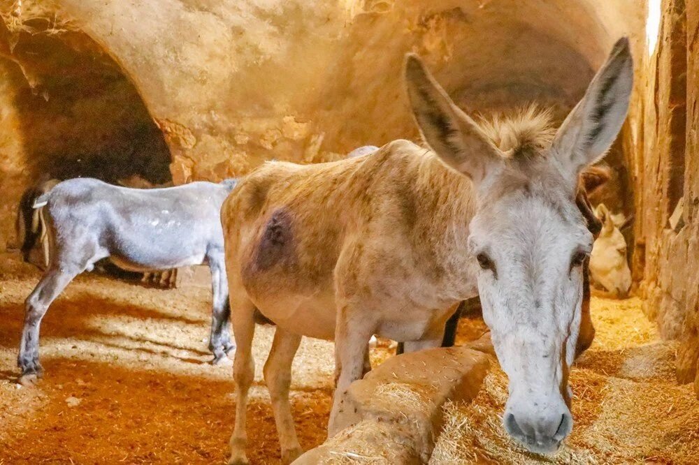 Mardin çöp toplama sistemi