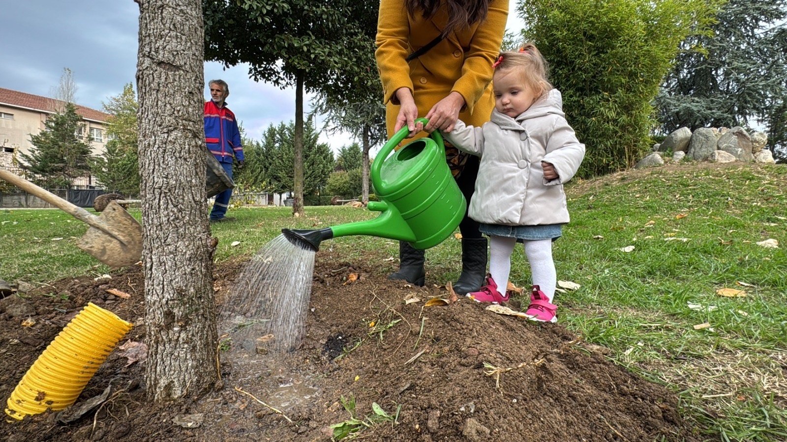 Kağıthane Her Bebeğe Bir Ağaç Projesi