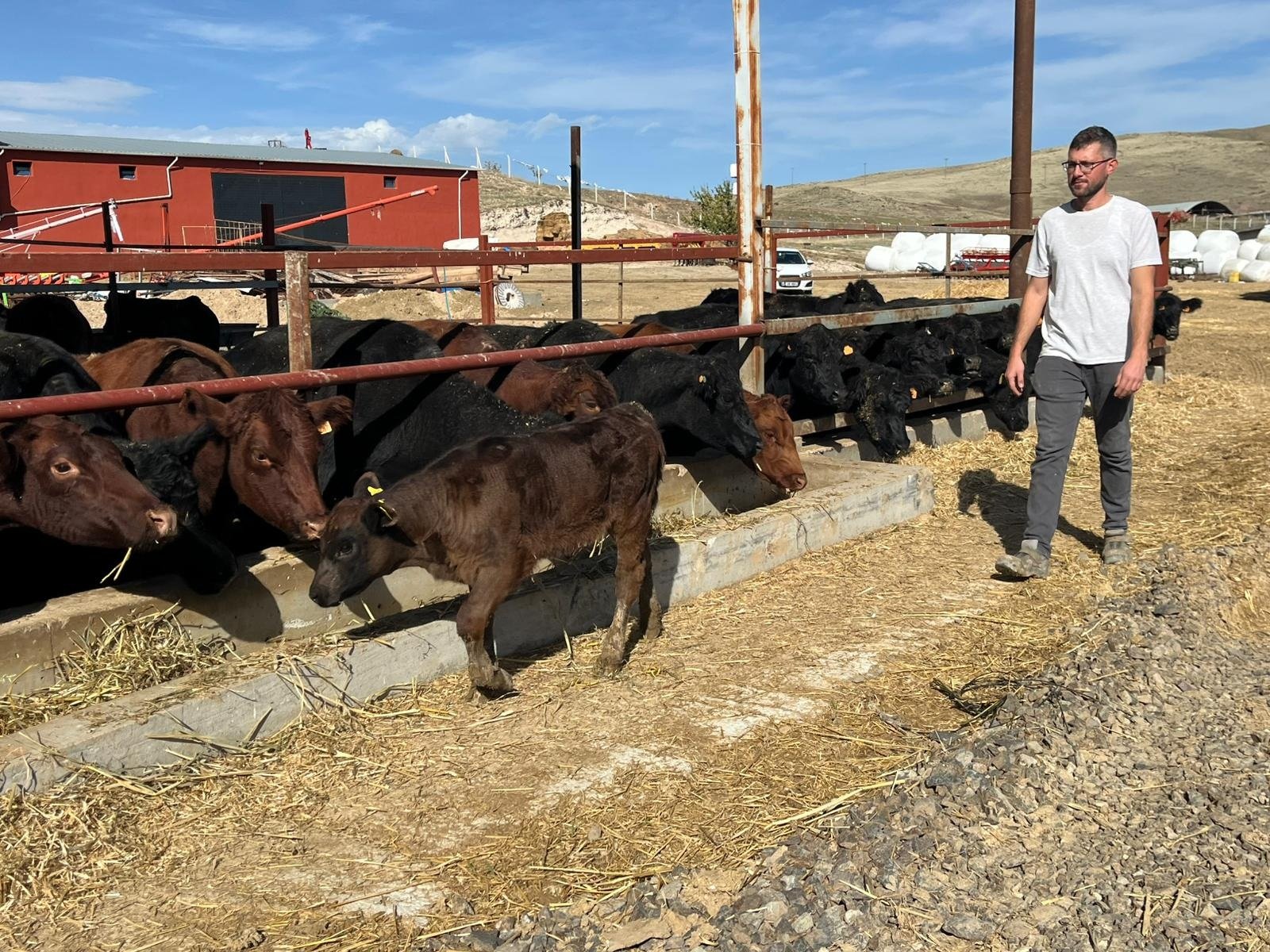 Tarım Bakanlığı Hayvancılık Projesi