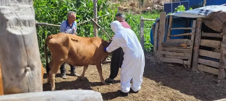 Dünya Gıda Günü açıklaması