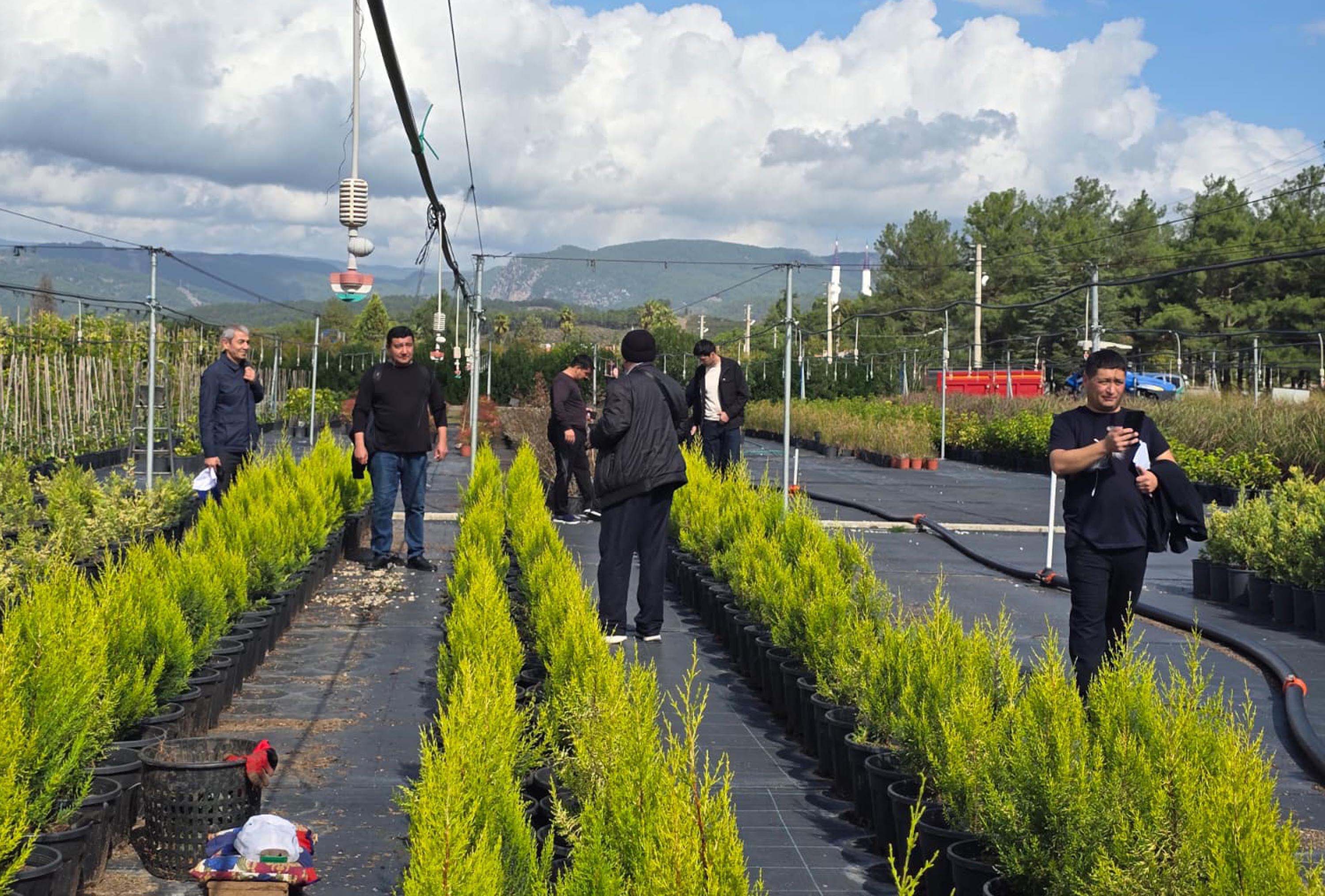 Muğla Orman Bölge Müdürlüğü Teknik İnceleme