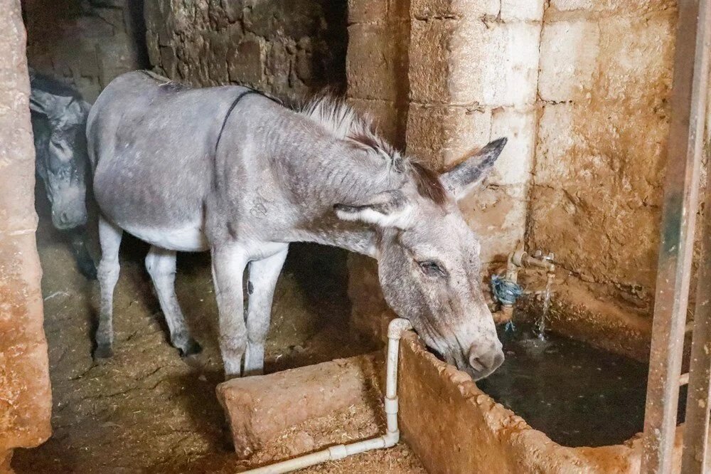 Mardin Artuklu Belediyesi