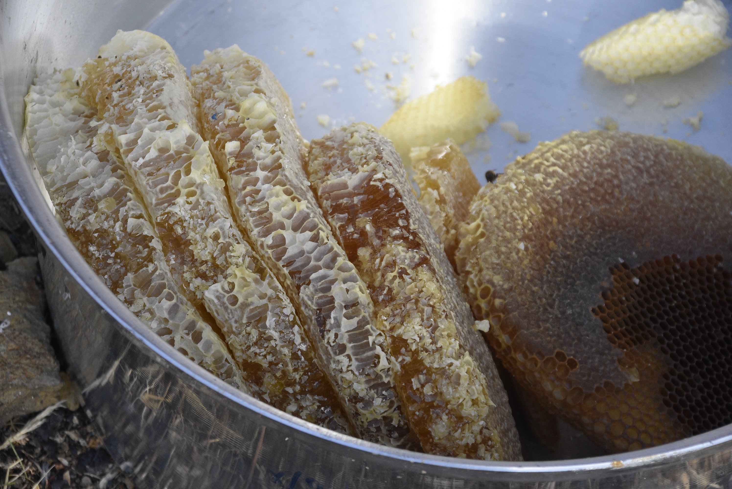 Bitlis bal üreticileri