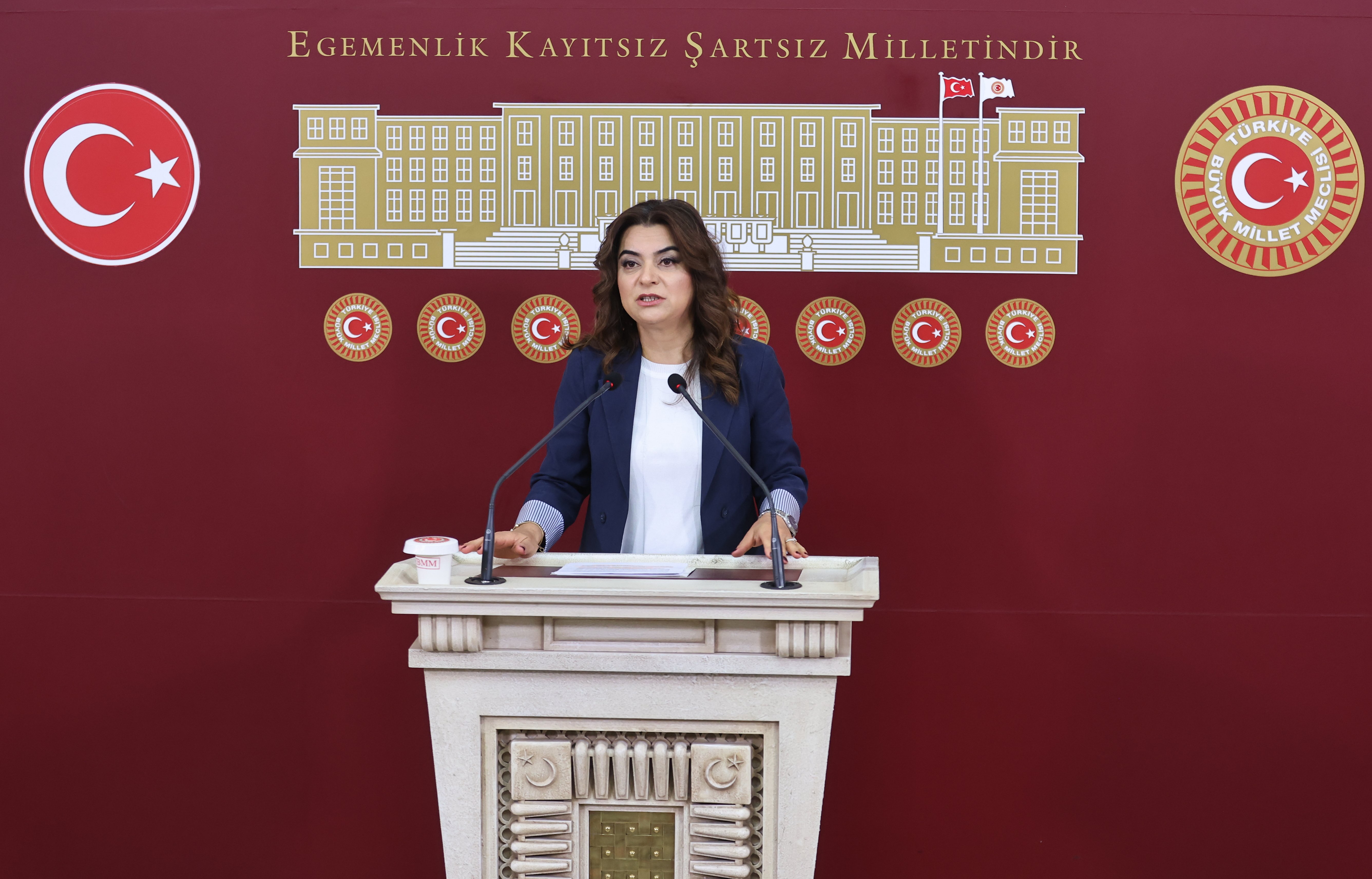 Gülistan Kılıç Koçyiğit DEM Parti TBMM tezkere
