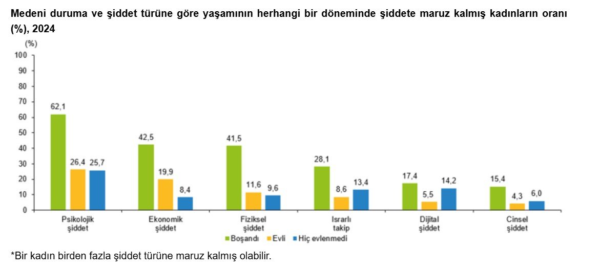 Kadın şiddet istatistikleri