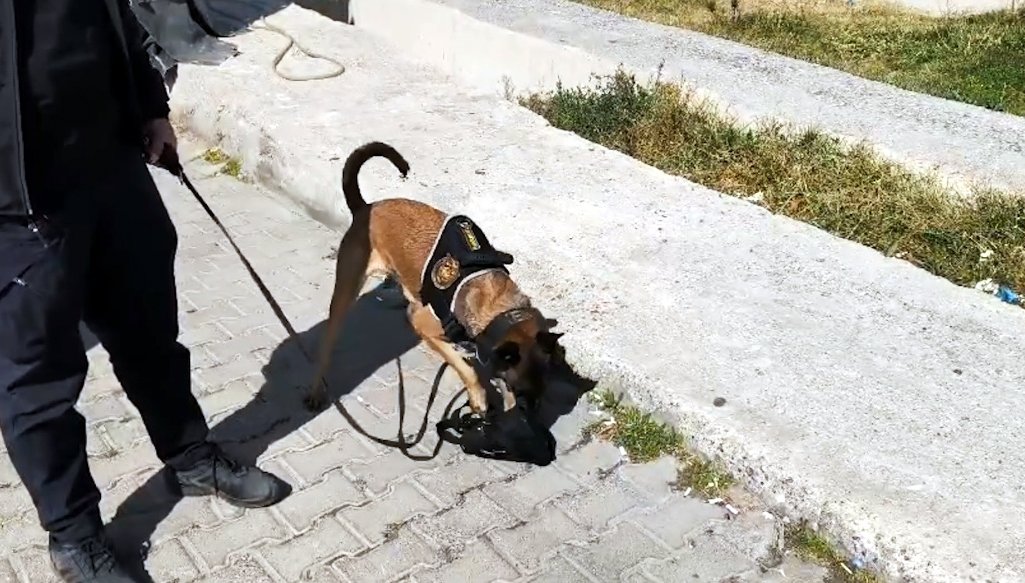 Bitlis uyuşturucu operasyonu