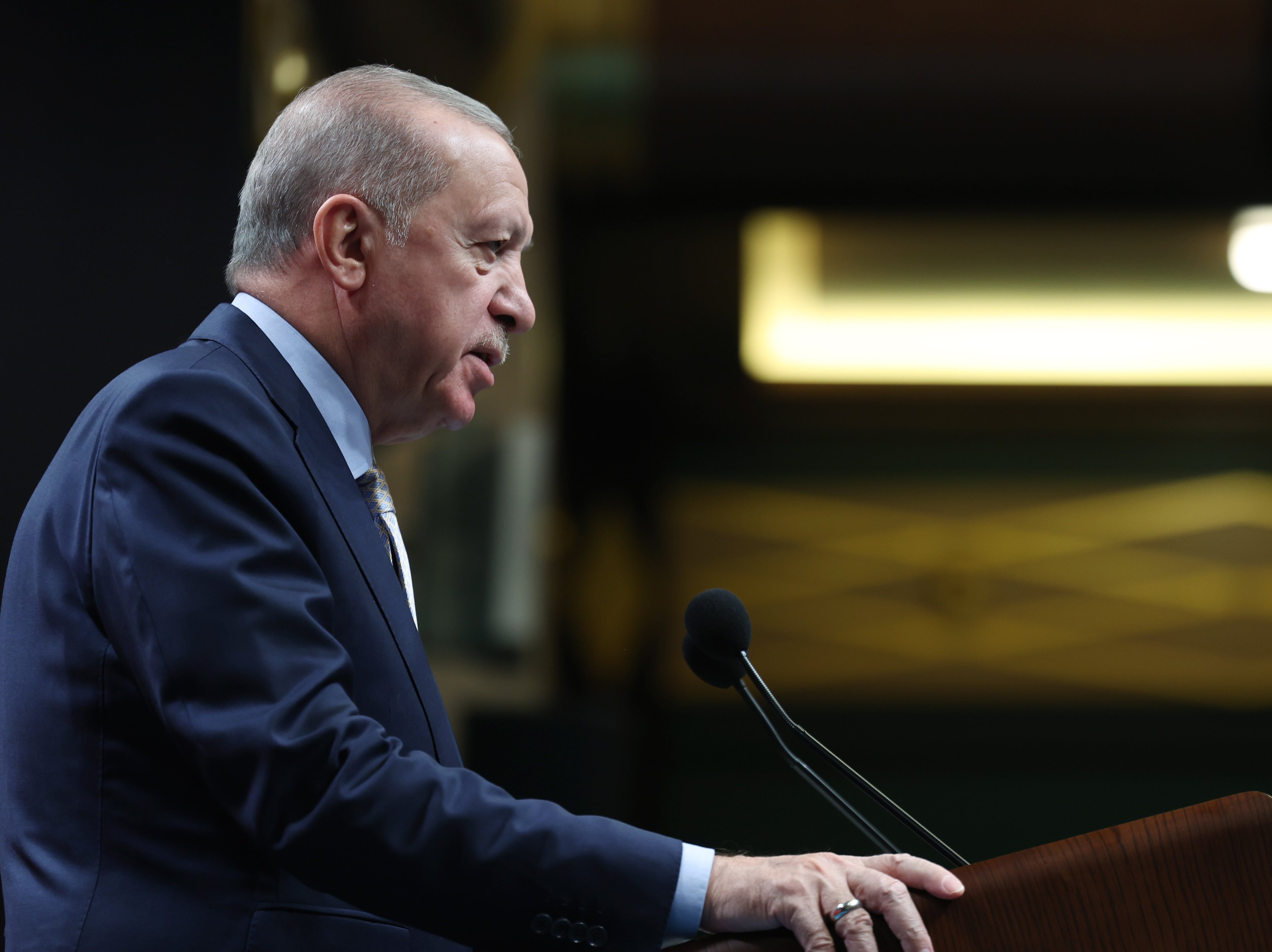 Erdoğan enerji politikaları