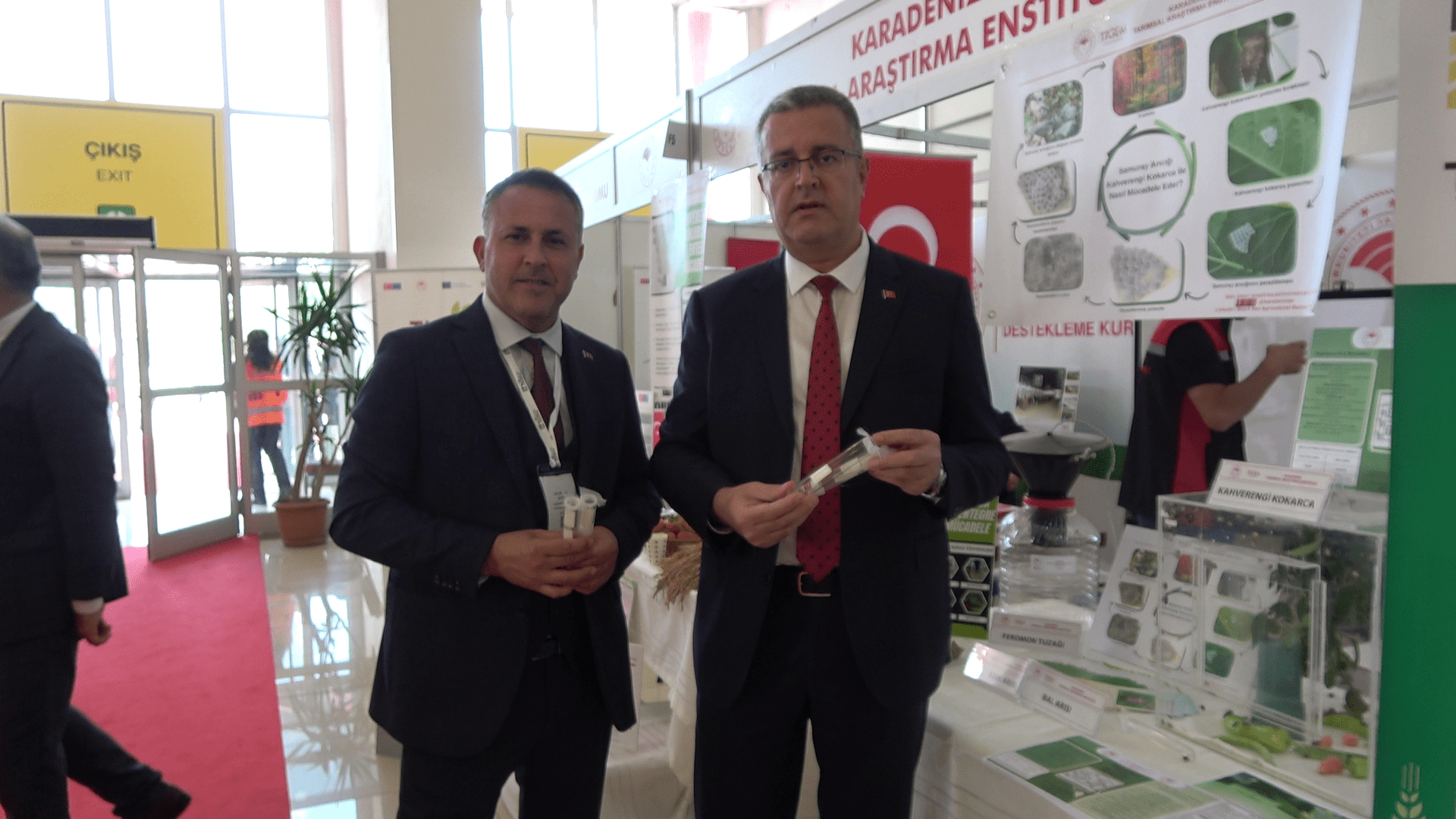 Samuray Arısı Kahverengi Kokarca Mücadelesi