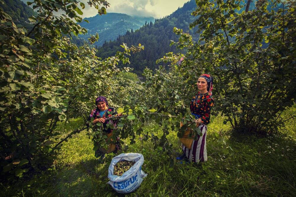 İklim değişikliği