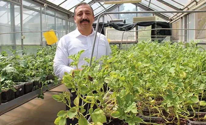 Niğde Patates Araştırma Enstitüsü Müdürü Uğur Pırlak