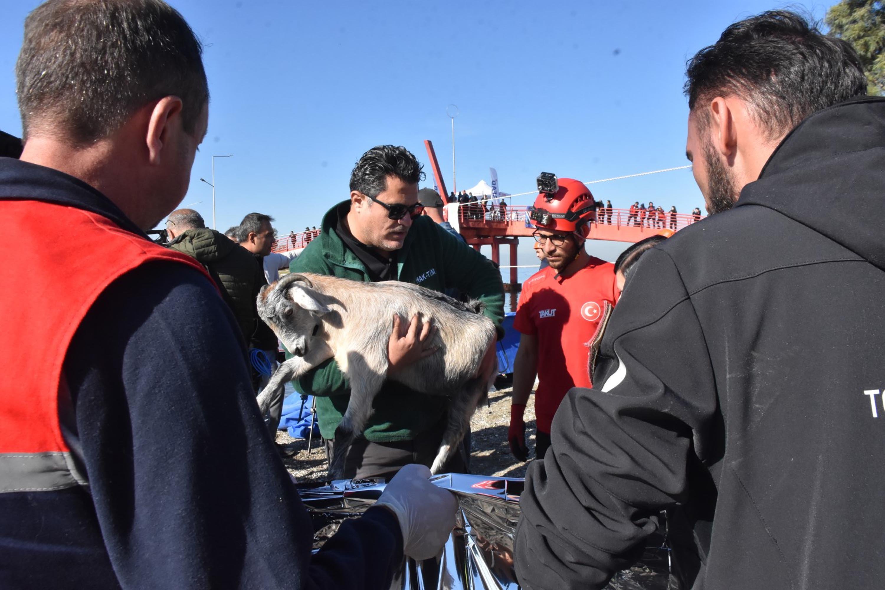 AFAD Başkanı Ali Hamza Pehlivan