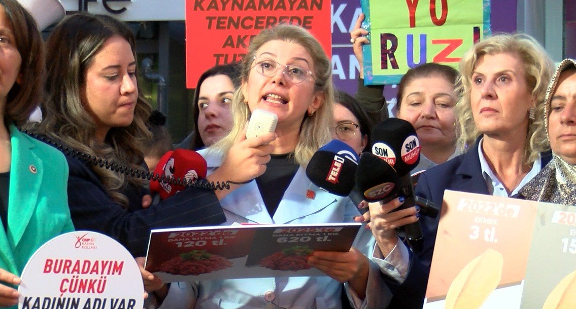 CHP Kadın Kolları Genel Başkanı Asu Kaya