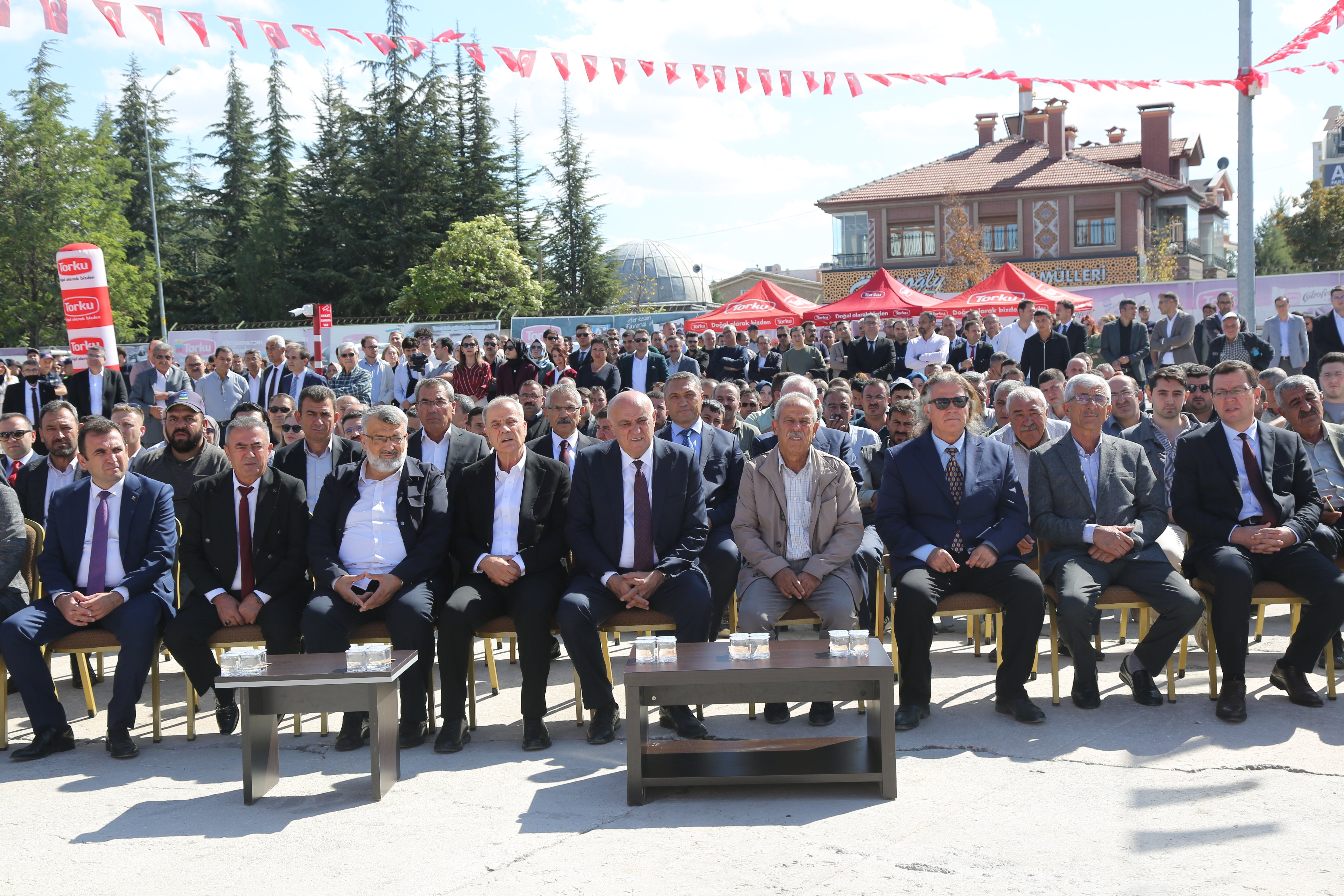 Pancar Üretimi