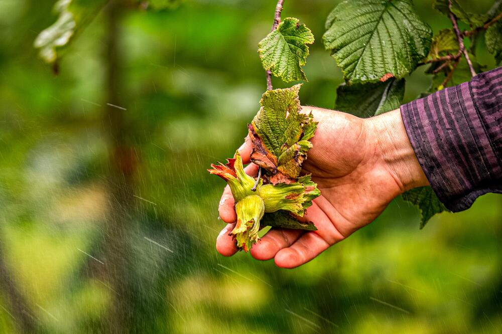 Sebahattin Arslantürk