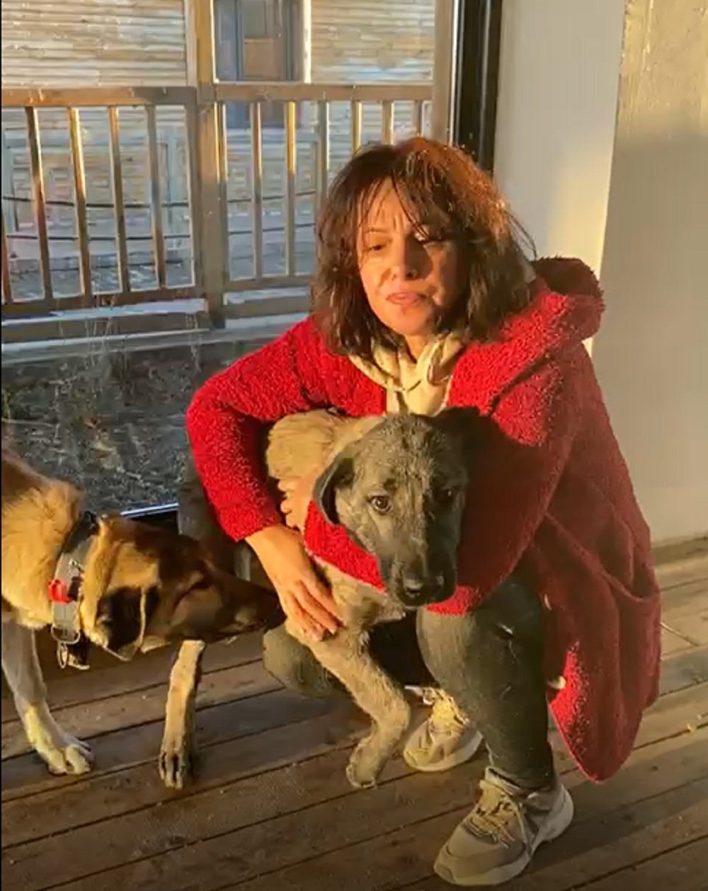 köpek şiddet davası