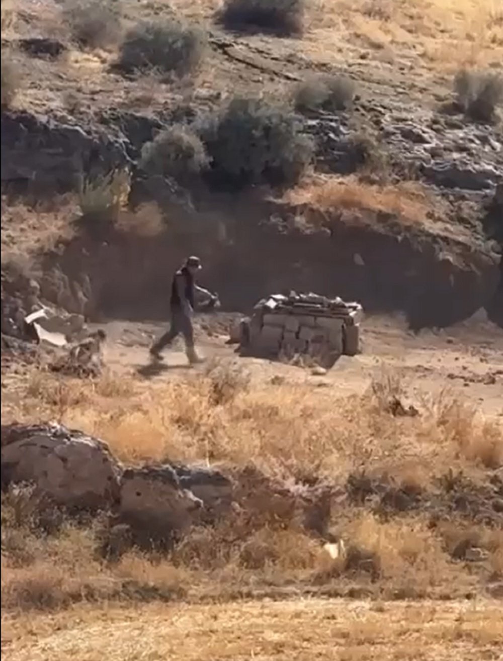 köpek şiddet mahkeme